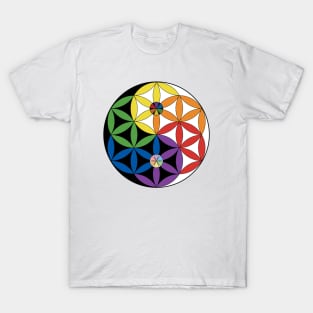 Balance of Life T-Shirt